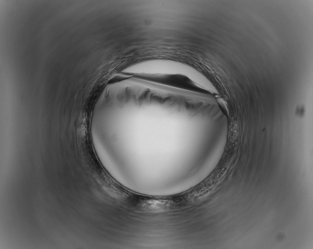 X0000097970323200804211018