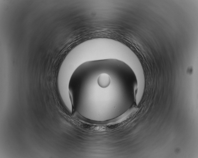 X0000097970324200804211018