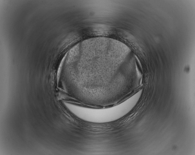 X0000097970325200804211018