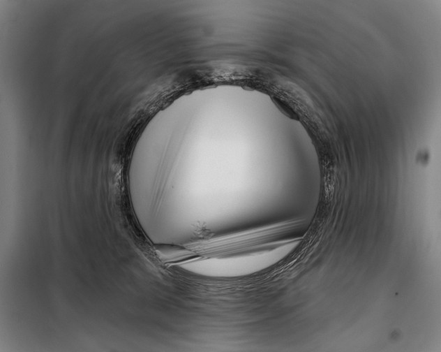 X0000097970327200804211018