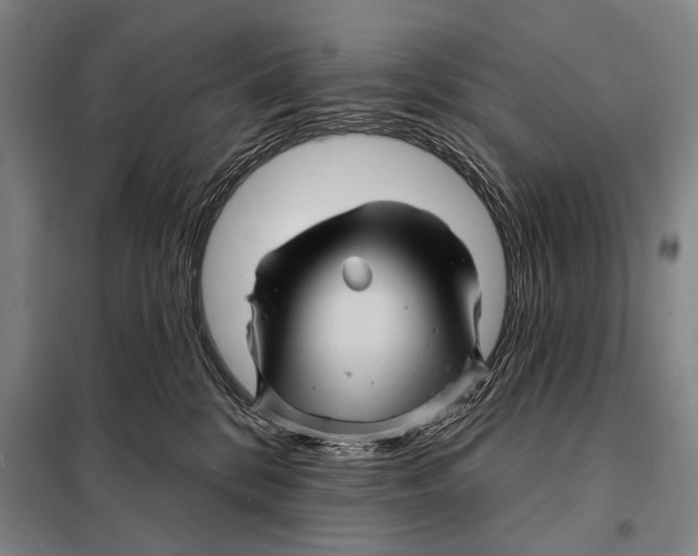 X0000097970328200804211018