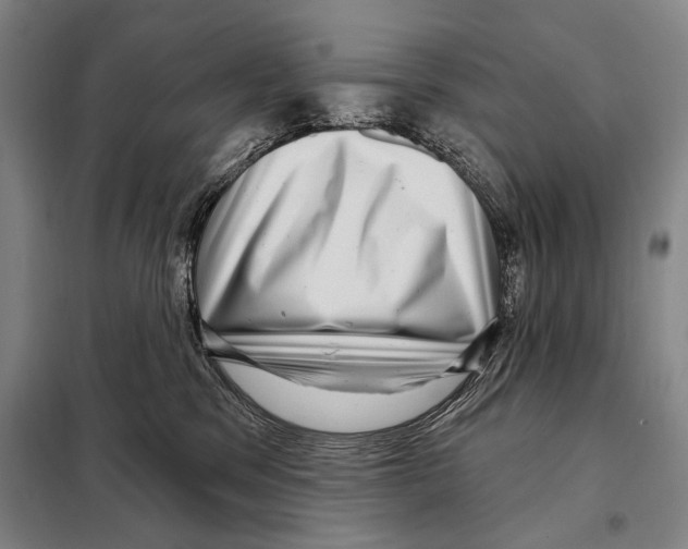 X0000097970329200804211018