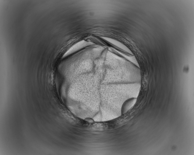 X0000097970330200804211018