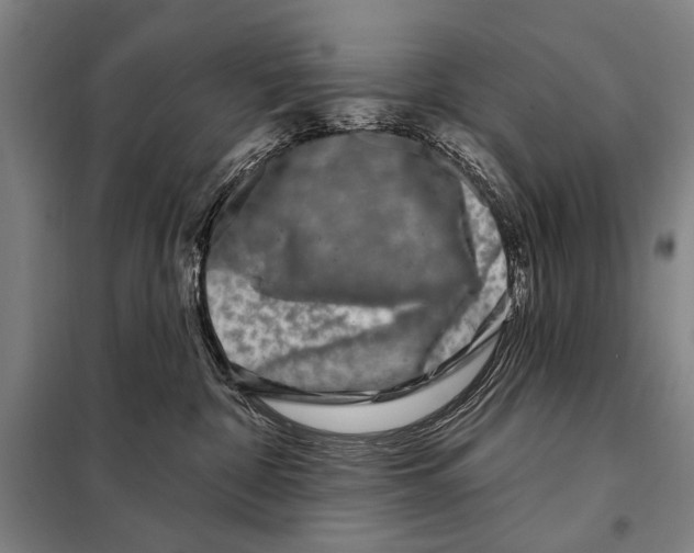X0000097970332200804211018