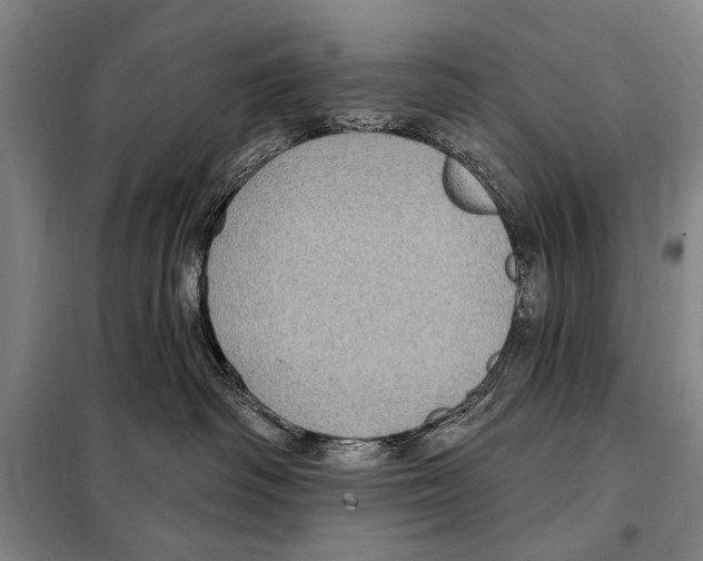 X0000097970334200804211018