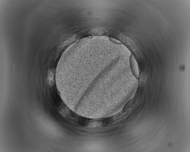 X0000097970335200804211018