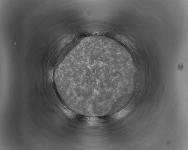 X0000097970336200804211018