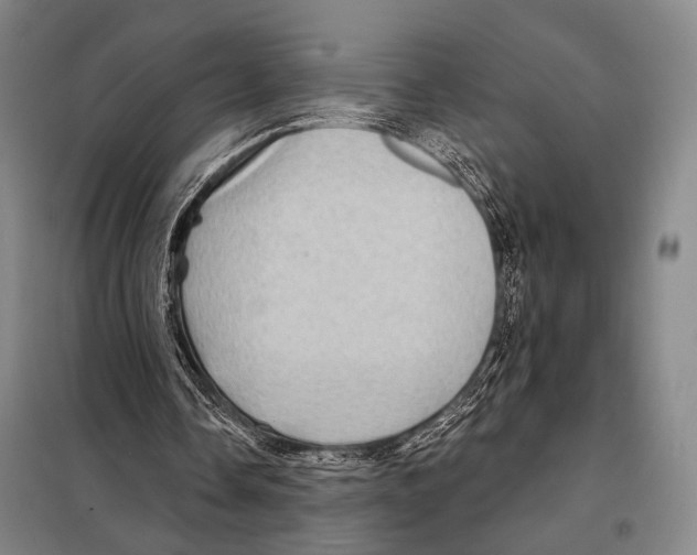 X0000097970338200804211017
