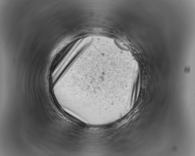 X0000097970341200804211017