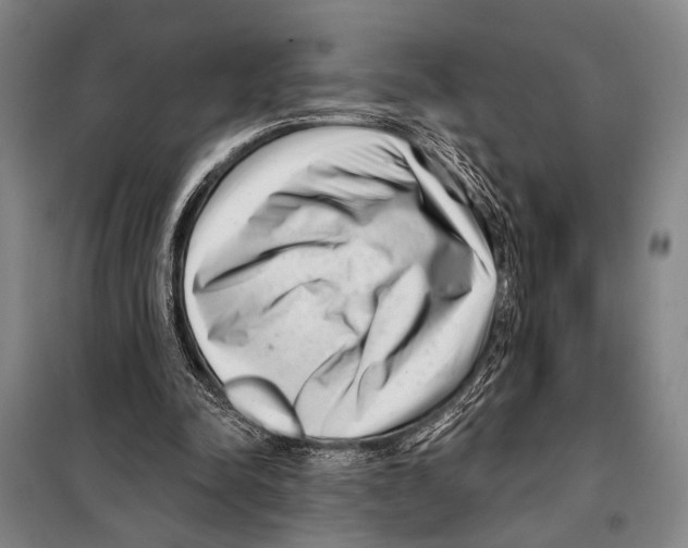 X0000097970342200804211017