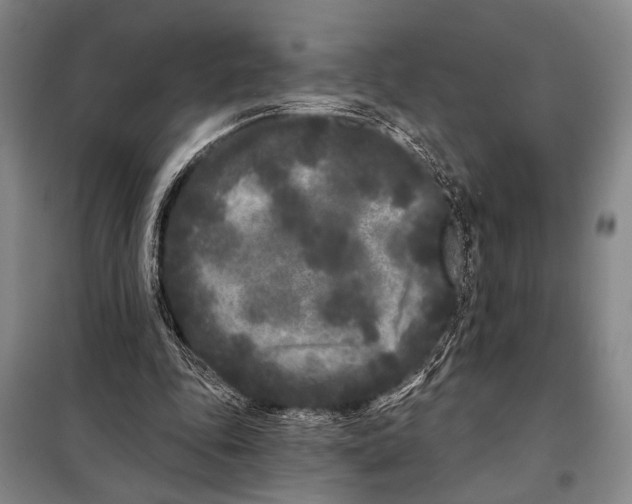 X0000097970343200804211017