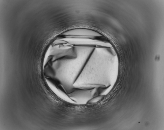 X0000097970345200804211017