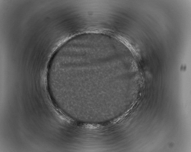 X0000097970346200804211017