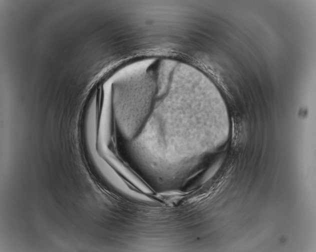X0000097970348200804211017