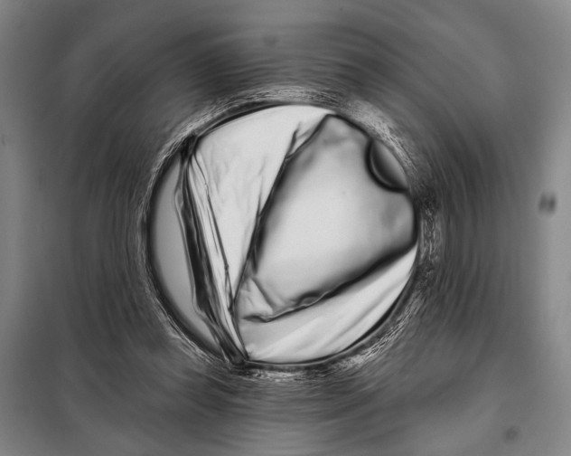 X0000097970349200804211017