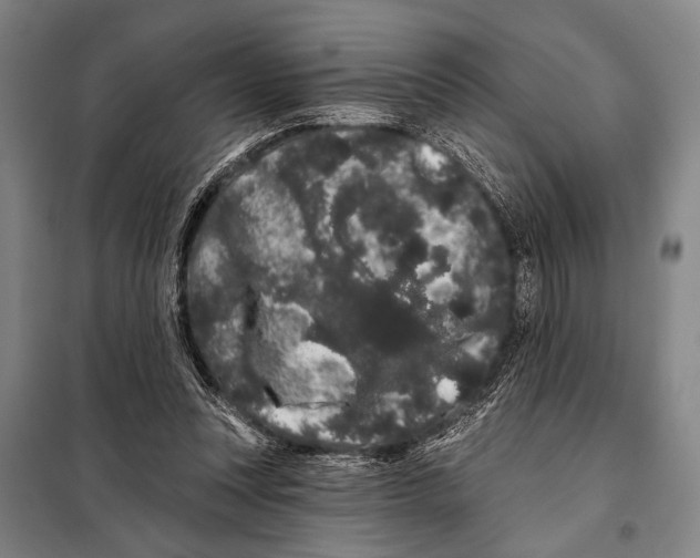 X0000097970351200804211017