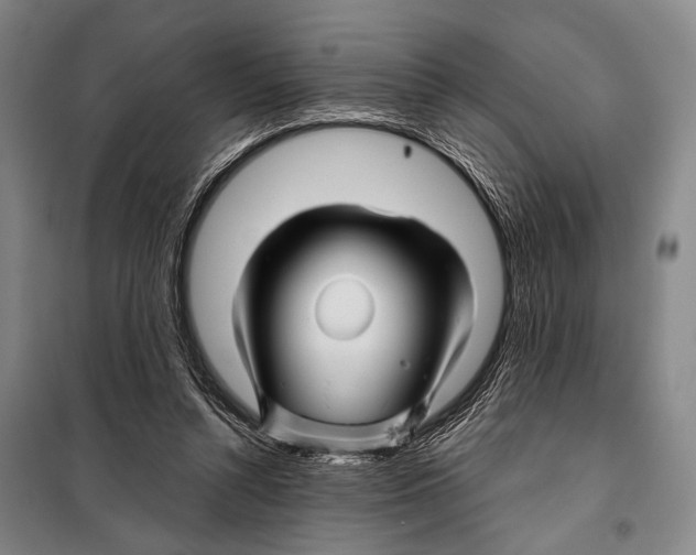 X0000097970352200804211017