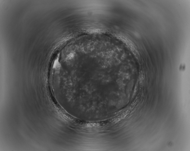 X0000097970353200804211017