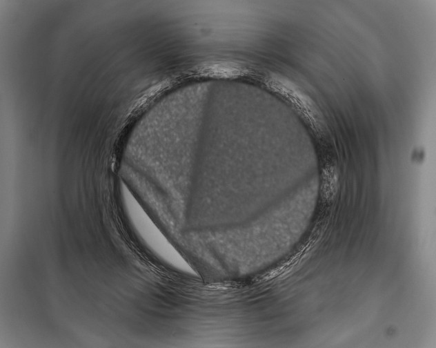 X0000097970358200804211017