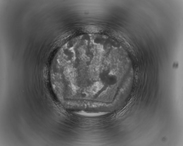 X0000097970359200804211017