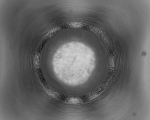 X0000097970360200804211018