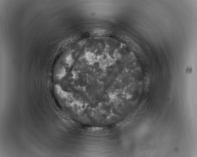 X0000097970361200804211018