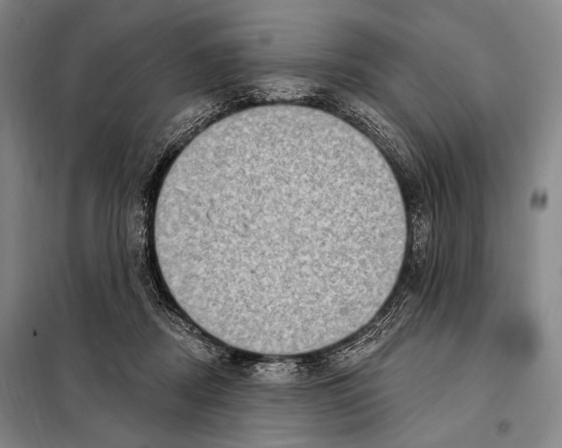 X0000097970362200804211018