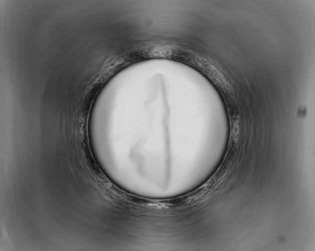 X0000097970363200804211018
