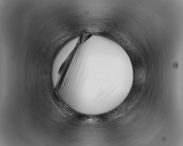 X0000097970364200804211018