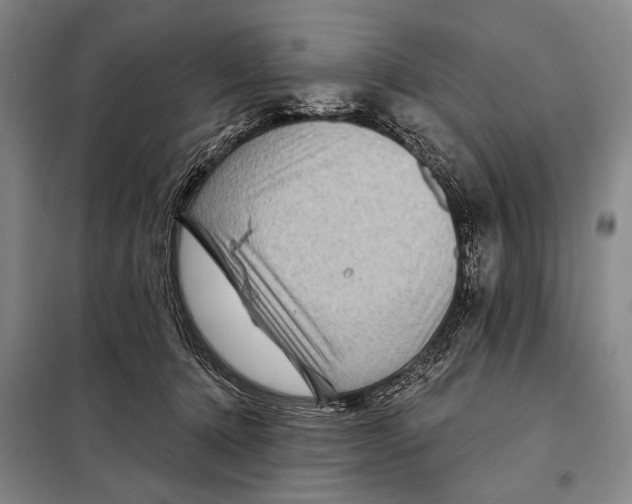 X0000097970368200804211018
