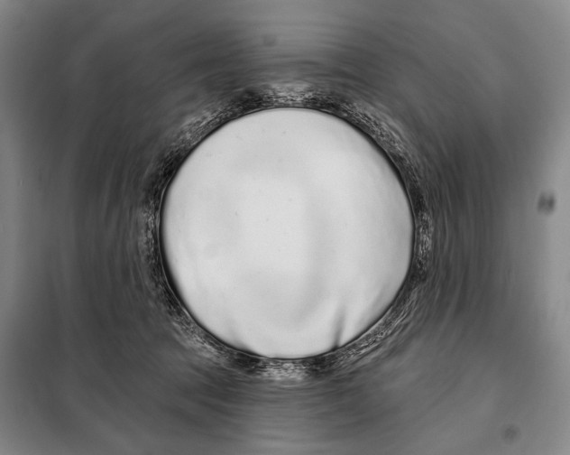 X0000097970369200804211018
