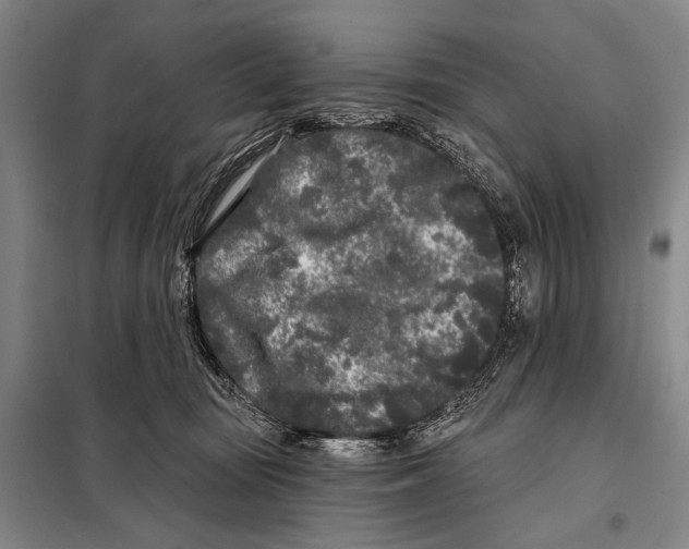 X0000097970371200804211018