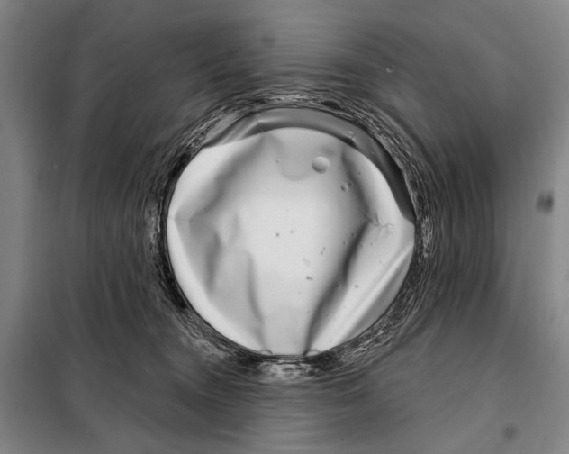X0000097970372200804211018