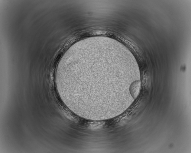 X0000097970373200804211018