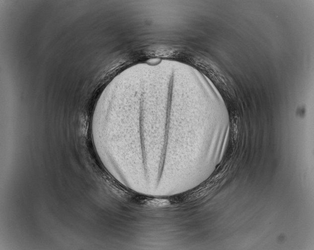 X0000097970374200804211018