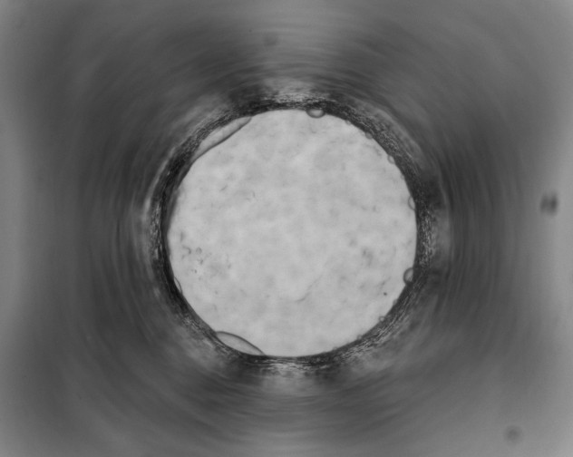 X0000097970376200804211018
