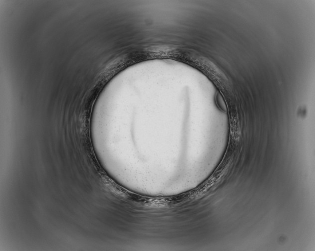 X0000097970377200804211018