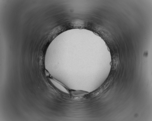 X0000097970379200804211018
