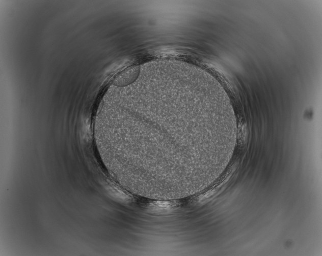 X0000097970381200804211018