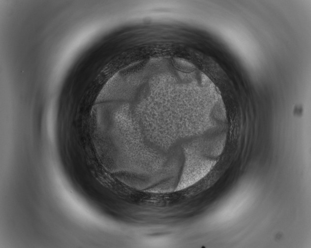 X0000097970383200804211018