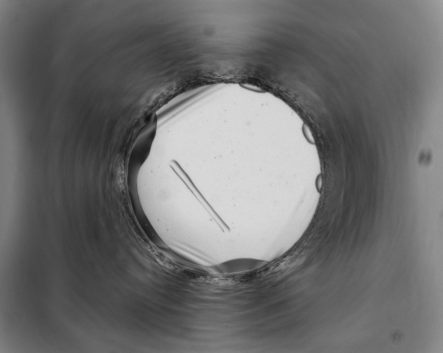 X0000097970384200804211018