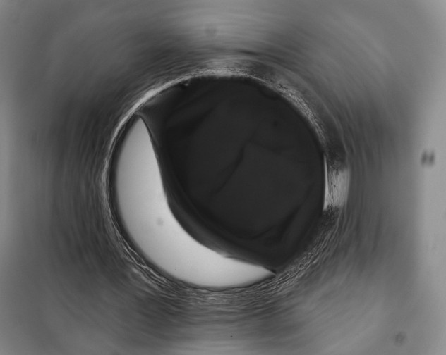 X0000097970387200804211017