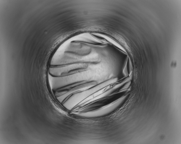 X0000097970389200804211017