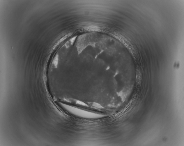 X0000097970390200804211017