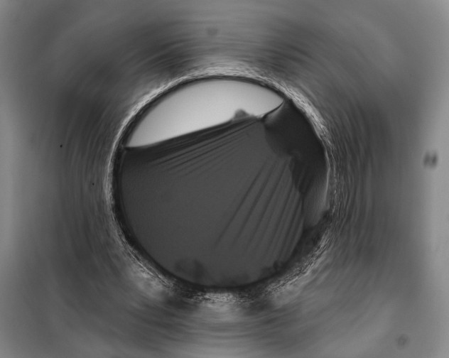 X0000097970391200804211017