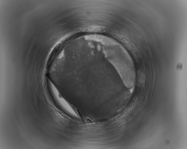 X0000097970392200804211017