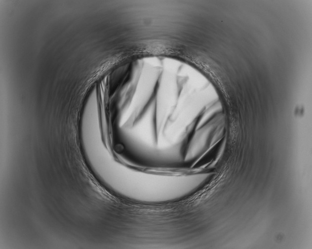 X0000097970393200804211017