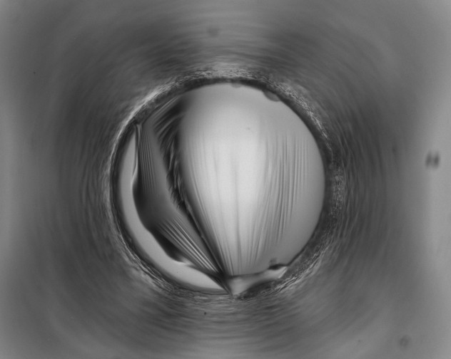 X0000097970395200804211017