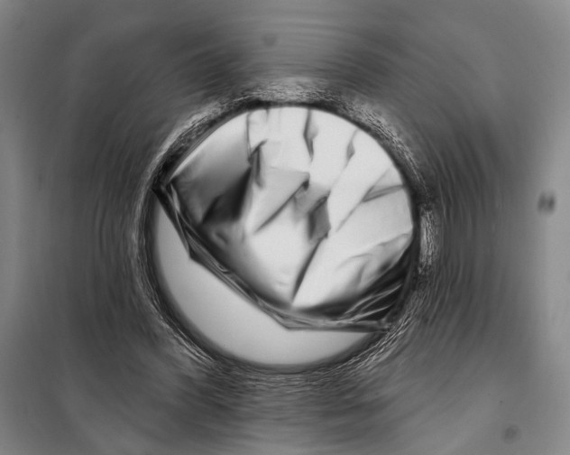 X0000097970396200804211017