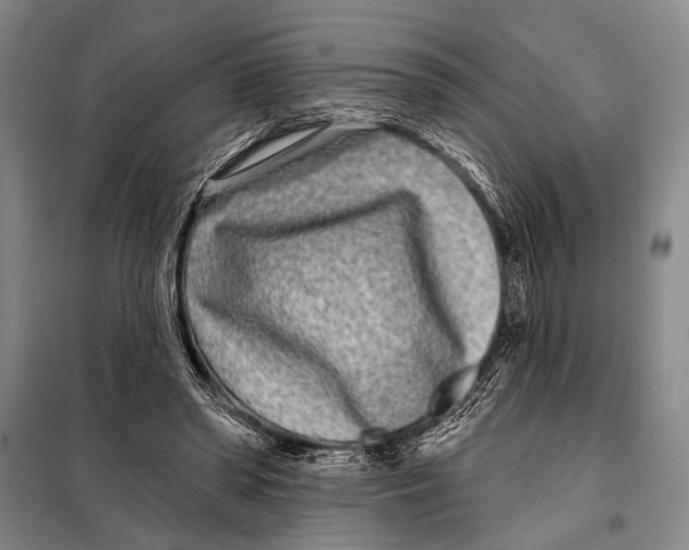 X0000097970398200804211017